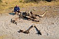 0109 Chobe NP