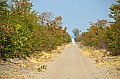 0117 Savuti Game Reserve