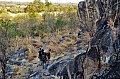 0139 Savuti Game Reserve