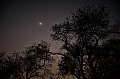 0145 Savuti Game Reserve