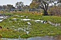0158 Savuti Game Reserve