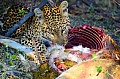 0165 Moremi Game Reserve