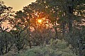 0179 Moremi Game Reserve
