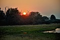 0180 Moremi Game Reserve