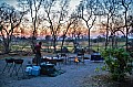 0181 Moremi Game Reserve