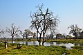 0186 Moremi Game Reserve