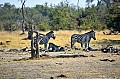 0189 Moremi Game Reserve