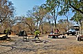 0195 Moremi Game Reserve