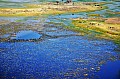 0217 Okavango delta