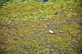 0218 Okavango delta