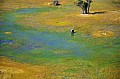 0220 Okavango delta