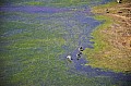 0223 Okavango delta
