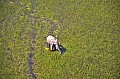 0227 Okavango delta