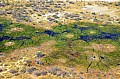 0228 Okavango delta