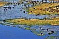 0233 Okavango delta