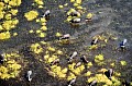 0235 Okavango delta