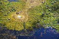 0240 Okavango delta