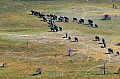 0242 Okavango delta