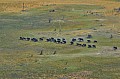0243 Okavango delta
