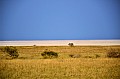 0263 Ntwetwe Pan