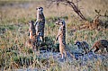 0265 Ntwetwe Pan