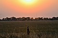 0268 Ntwetwe Pan