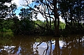 061 Brunei
