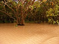 Lago Tonle Sap-0028