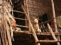 Lago Tonle Sap-0035