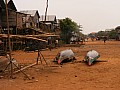 Lago Tonle Sap-0045