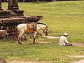 Siem Reap- Angkor Wat-0008