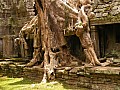 Siem Reap- Preah Khan-0020