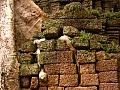 Siem Reap- Ta Prohm-0004