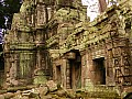 Siem Reap- Ta Prohm-0007