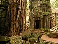 Siem Reap- Ta Prohm-0008
