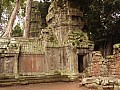 Siem Reap- Ta Prohm-0018