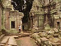 Siem Reap- Ta Prohm-0022
