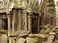 Siem Reap- Ta Prohm-0023