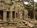Siem Reap- Ta Prohm-0024