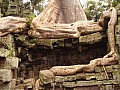 Siem Reap- Ta Prohm-0025