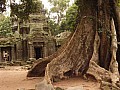 Siem Reap- Ta Prohm-0028