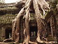 Siem Reap- Ta Prohm-0029