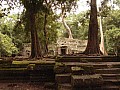 Siem Reap- Ta Prohm-0031