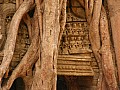 Siem Reap- To Som-0012