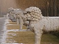 Beijing-0012