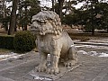 Beijing-0013