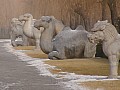 Beijing-0014