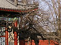 Beijing-0092