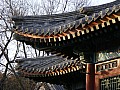 Beijing-0103