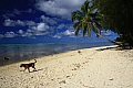 009 Rarotonga - Muri beach